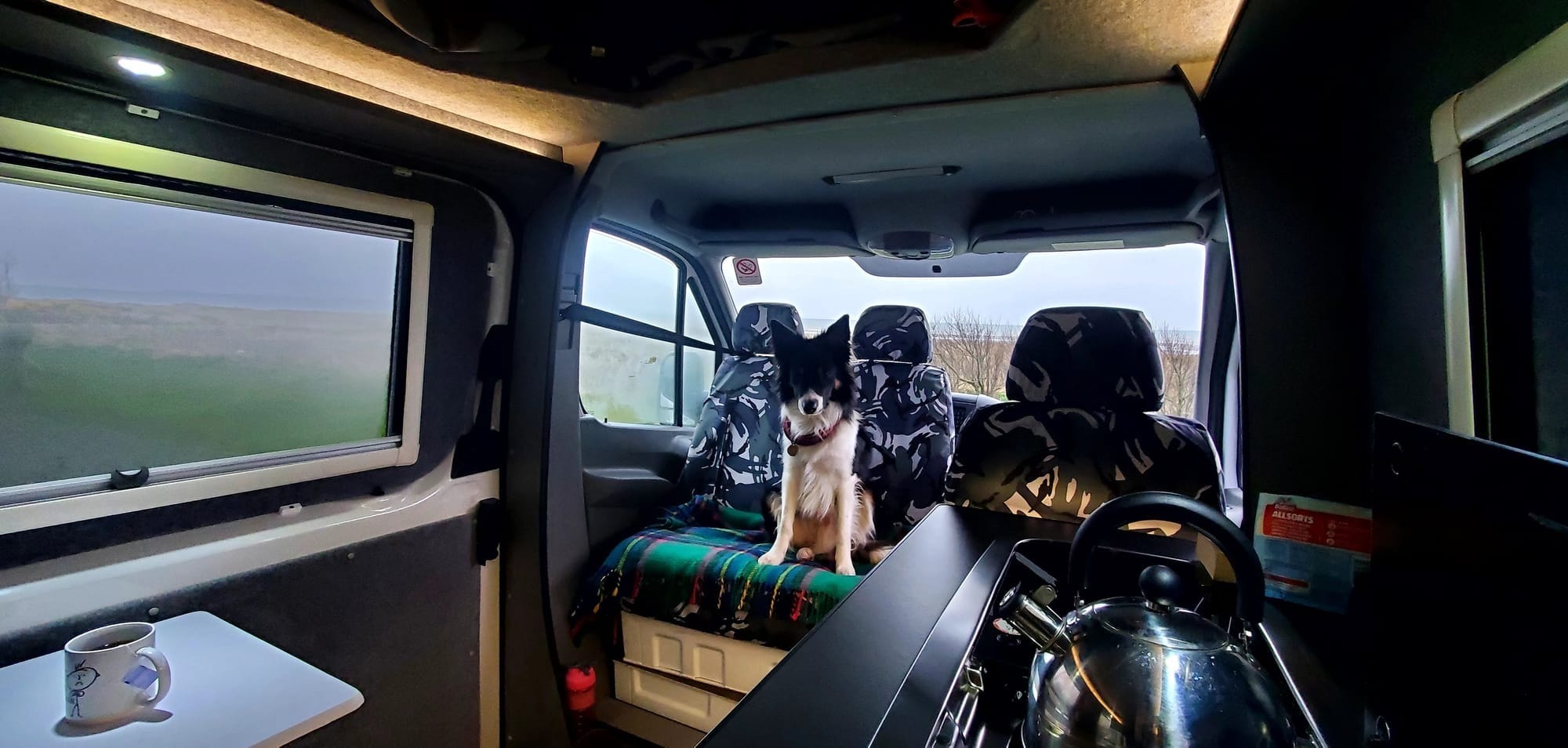 Storm the Border Collie sitting in the campervan.