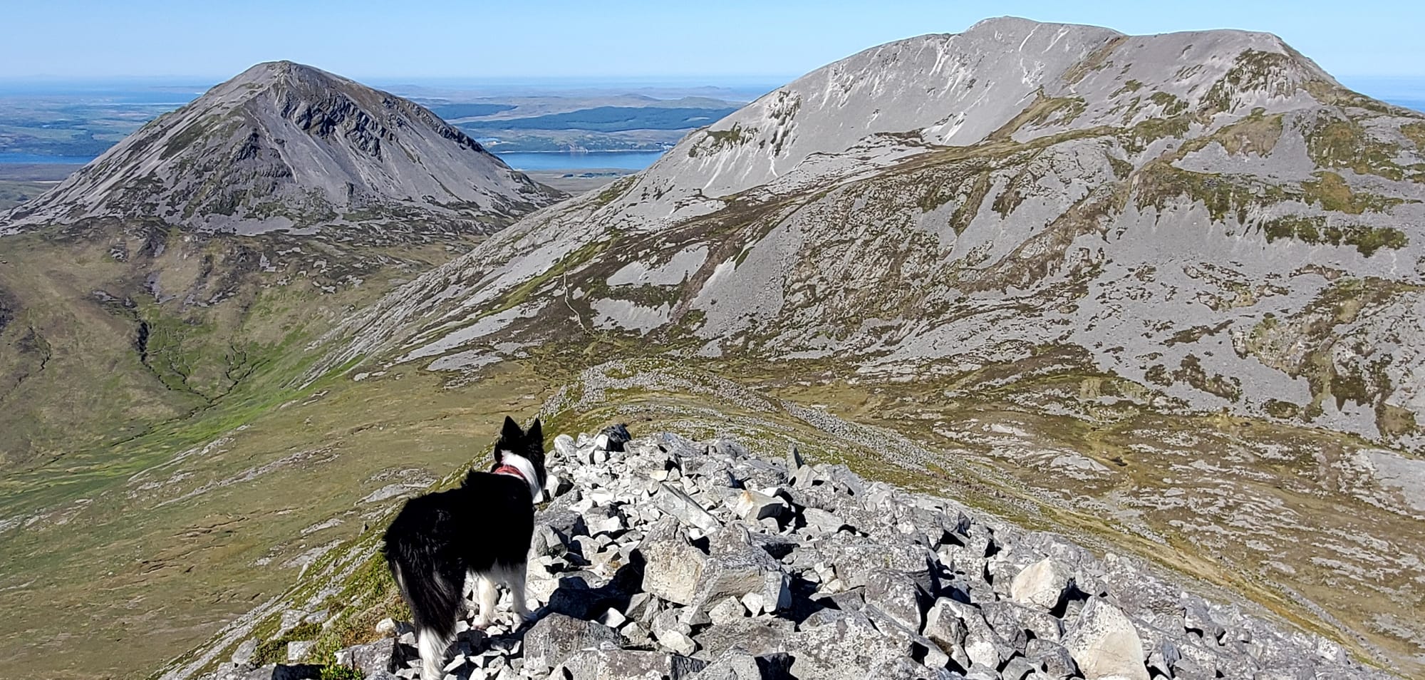 Storm the Border Collie stands on a rocky part of the hills looking out to Beinn an Oir.