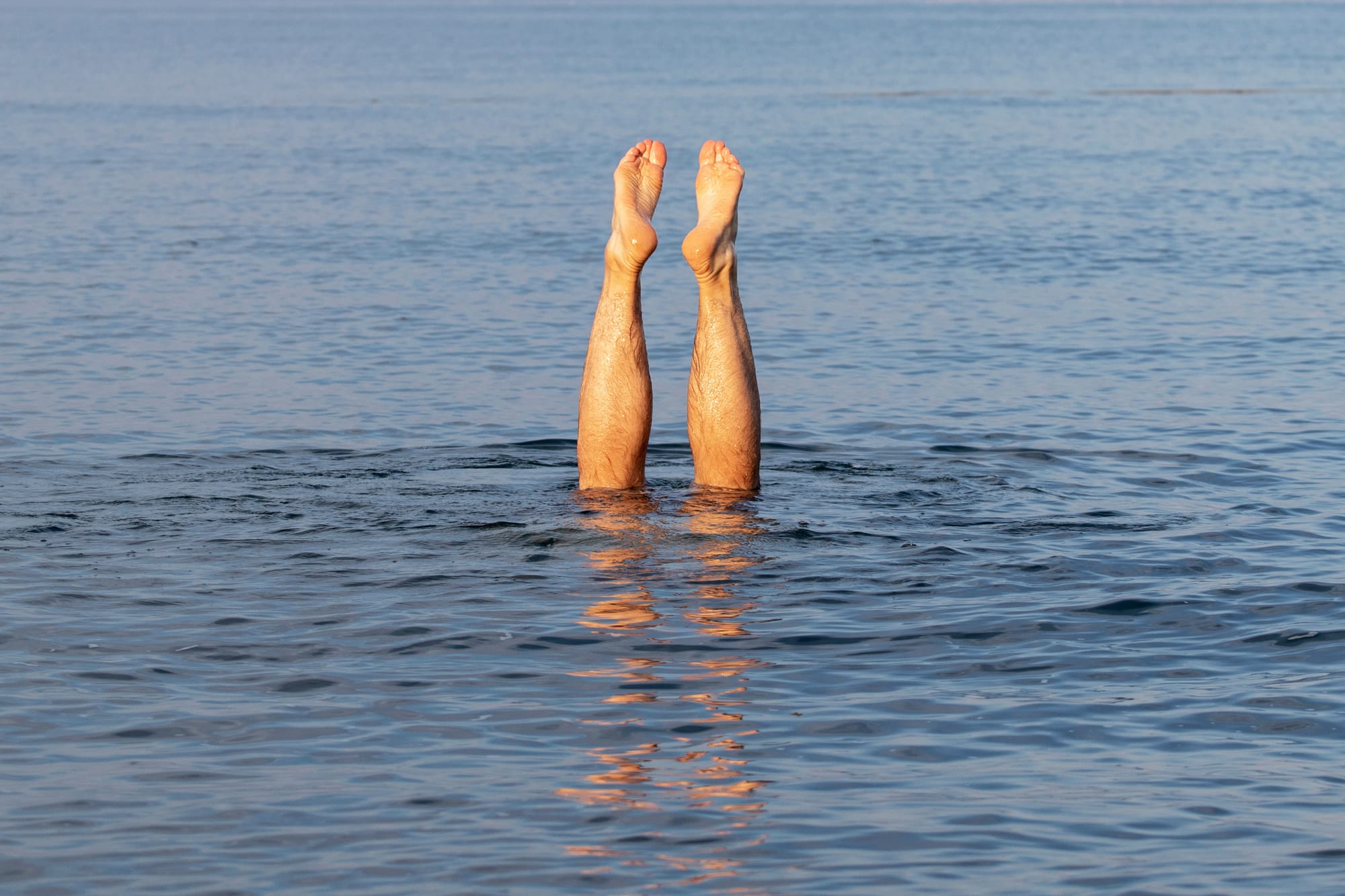 Sweat, plunge, repeat – a wild Scottish sauna safari