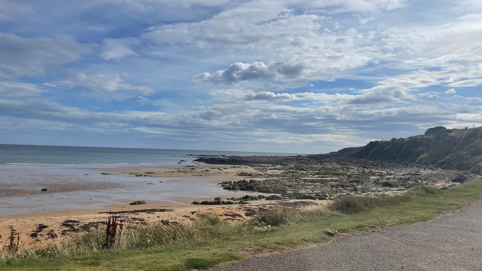 Sweat, plunge, repeat – a wild Scottish sauna safari