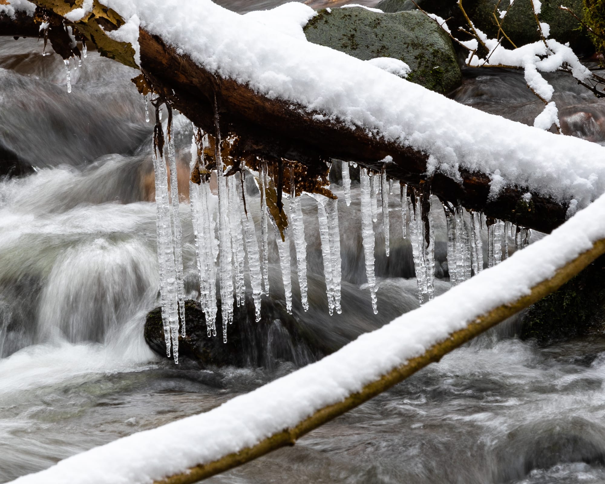Icicles hanging from a tree branch over a river.