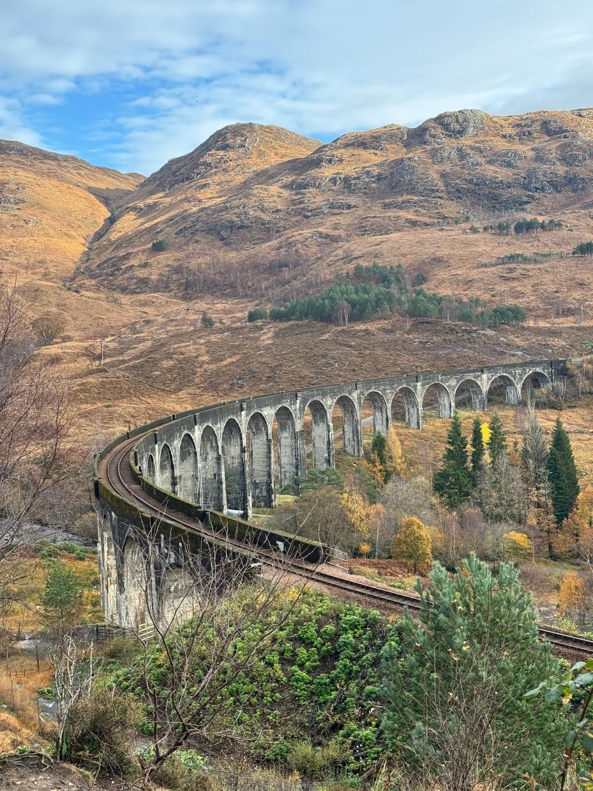 Glenfinnan Viaduct, with trees in the foreground and orange-brown hills in the background.