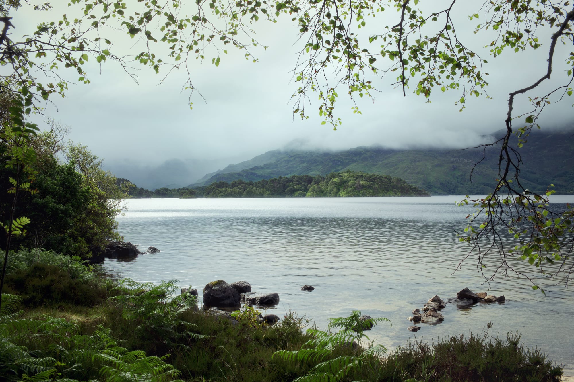 Looking over Loch Morar from the grassy banks on a grey, cloudy day.